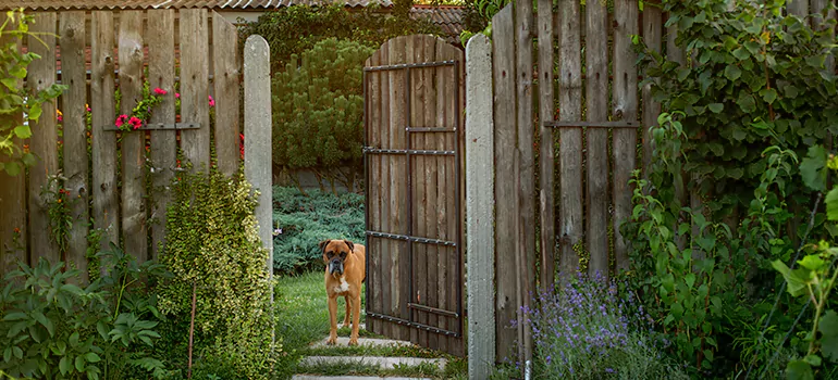 Winter Garden Garage Door Repair in Fleming Island,[location field=state]